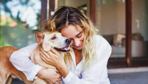 What to Do with Your Pet While You Are Away: