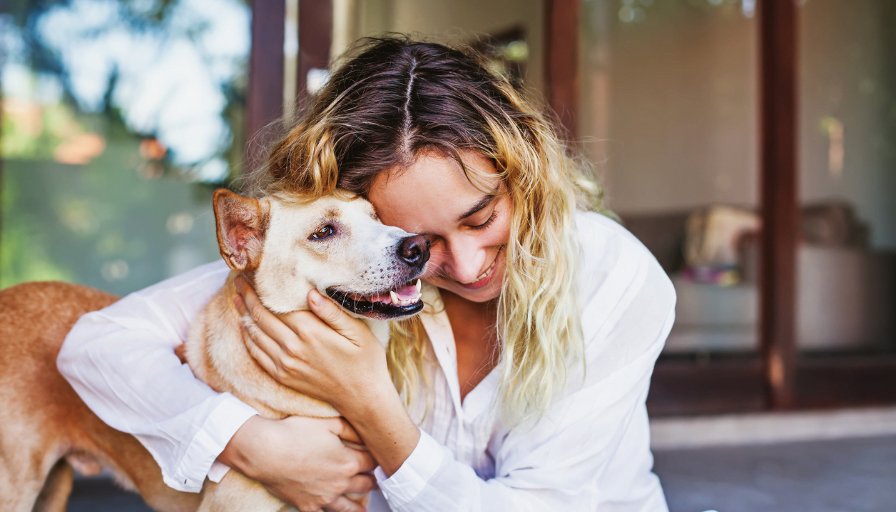 What to Do with Your Pet When you're away