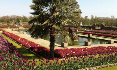 London Garden