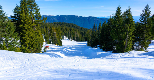Big Bear Lake California In The Winter