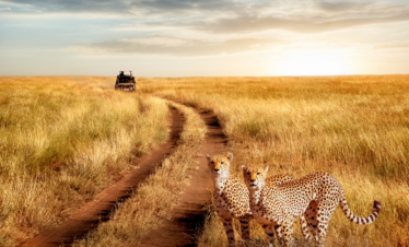 Big Five Classic Safari in Tanzania