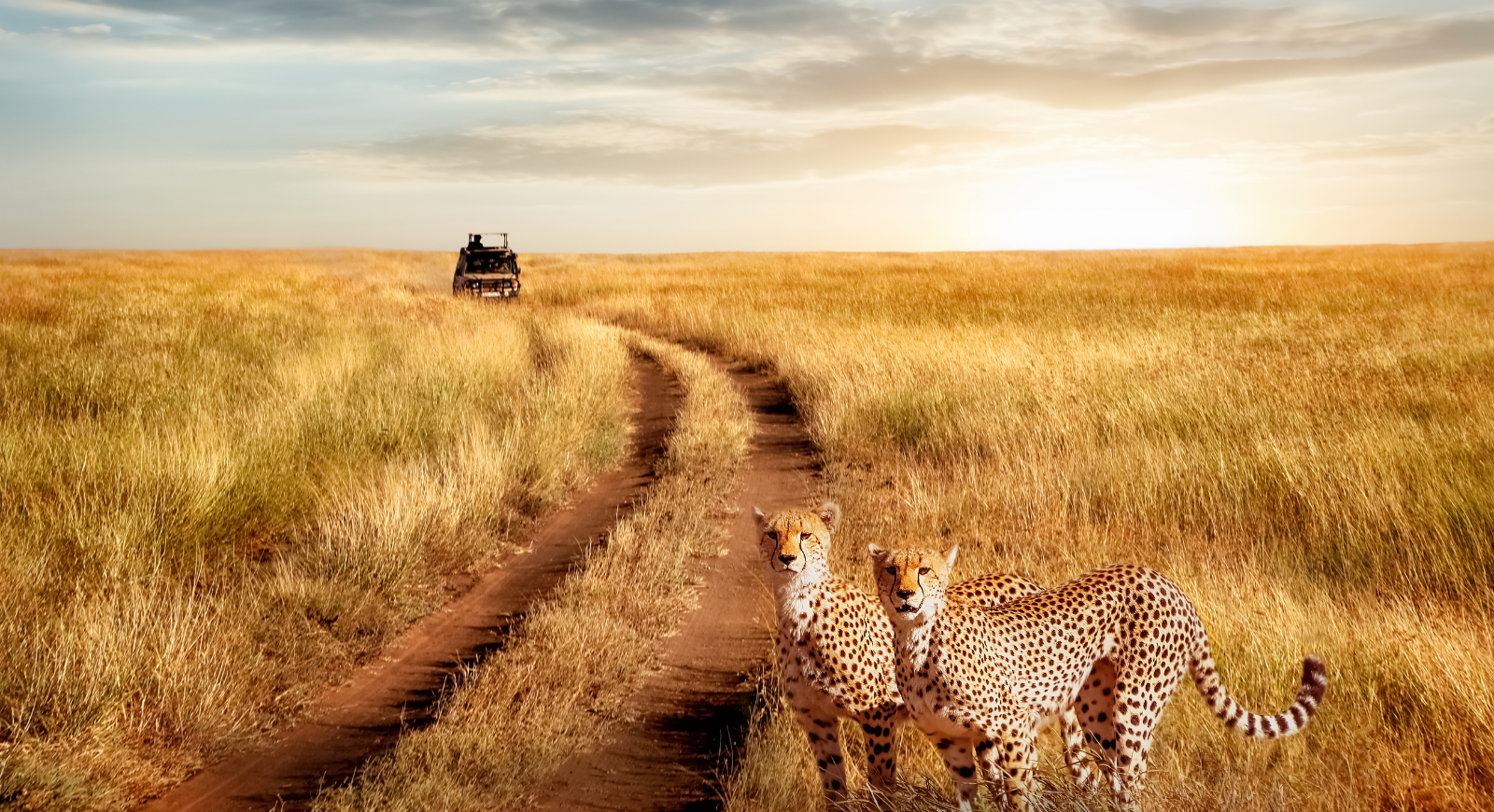 Big Five Classic Safari in Tanzania